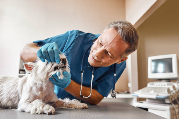 Best Emergency Dental Extractions in Middletown, NY